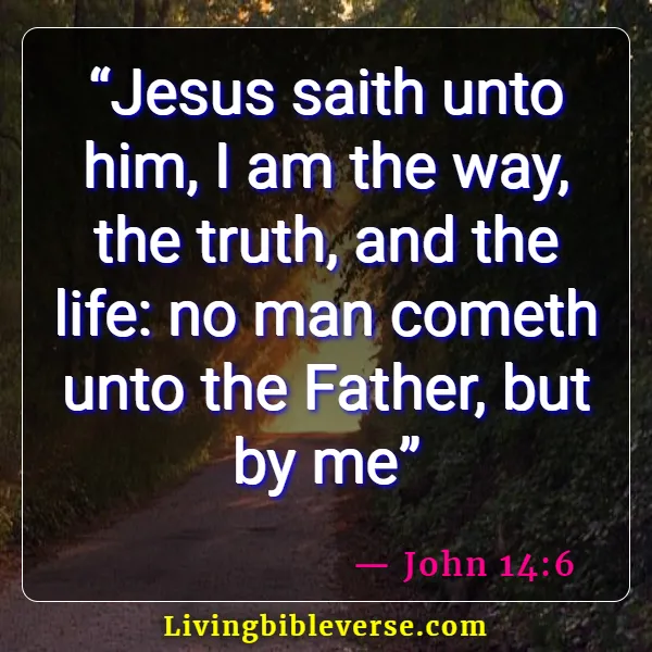 Bible Verses About Living Life More Abundantly (John 14:6)