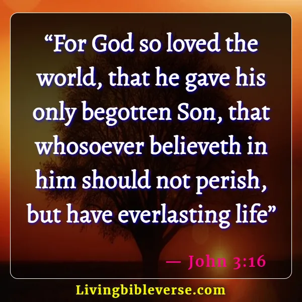 Bible Verses About Salvation And Good Works (John3:16)