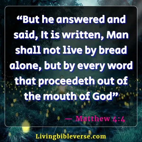 Bible Verses For Bible Study Group (Matthew 4:4)