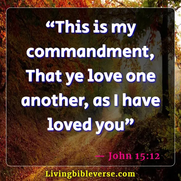 Kjv Bible Verses About Love Offers Sale Brunofuga adv br