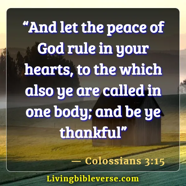 Bible Verses About Blessed Are The Peacemakers (Colossians 3:15)