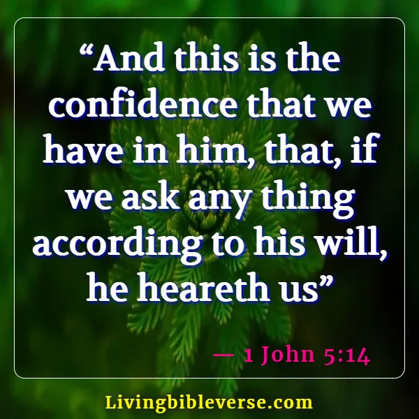 Bible Verses About Having Faith And Confidence In God (1 John 5:14 )