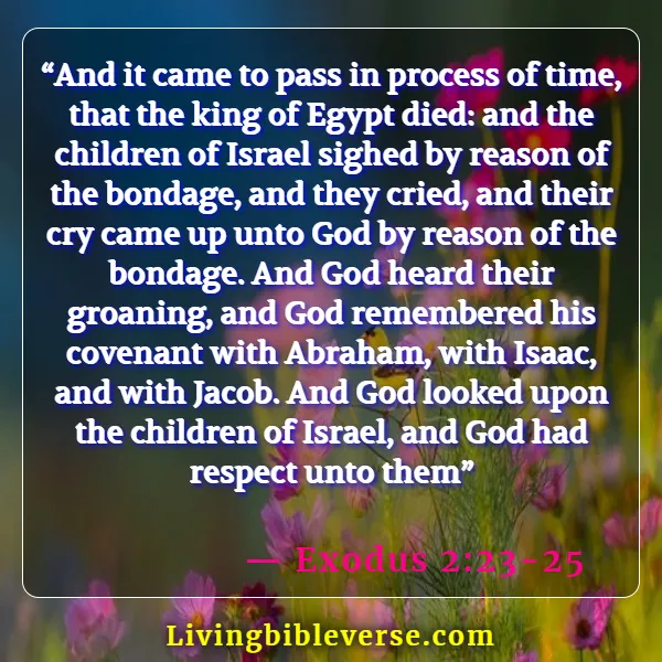 Bible Verses About Remembering The Past (Exodus 2:23-25)