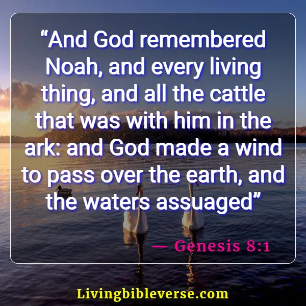 Bible Verses About Remembering The Past (Genesis 8:1)