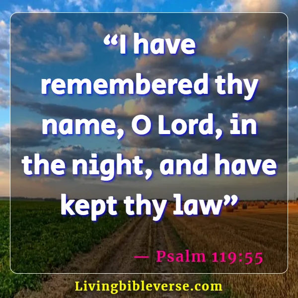 Bible Verses About Remembering The Past (Psalm 119:55)