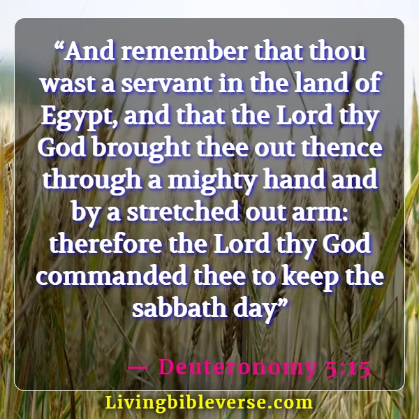 Bible Verses About Remembering What God Has Done (Deuteronomy 5:15)