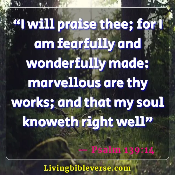 Bible Verses For Women's Fellowship (Psalm 139:14)