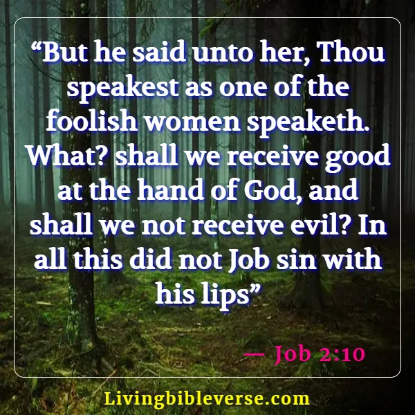 Bible Verses About God Does Not Lie (Job 2:10)