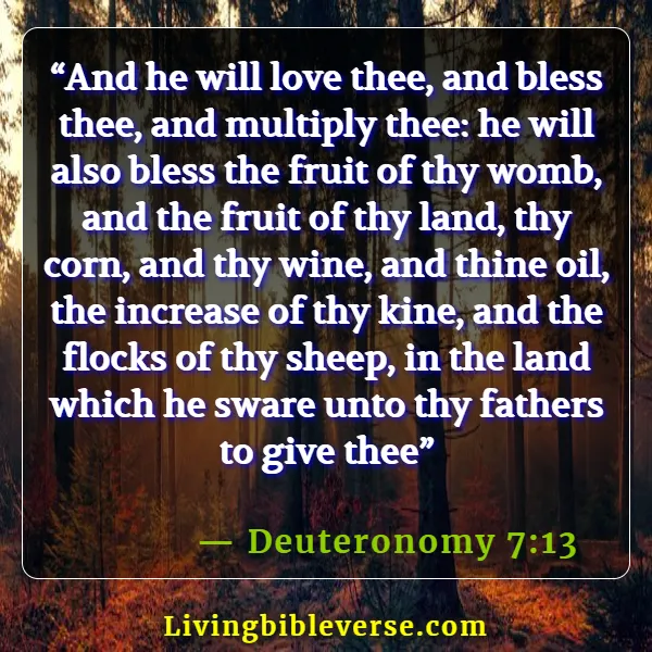 Bible Verses For Pregnant Women (Deuteronomy 7:13)