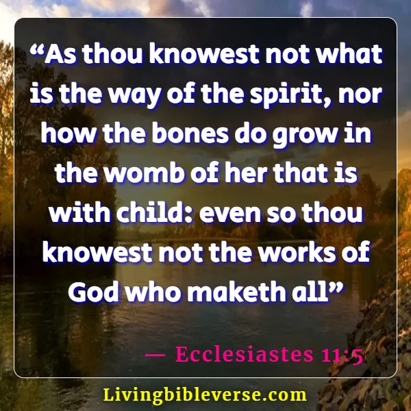 62 Bible Verses About God Directing Your Path KJV