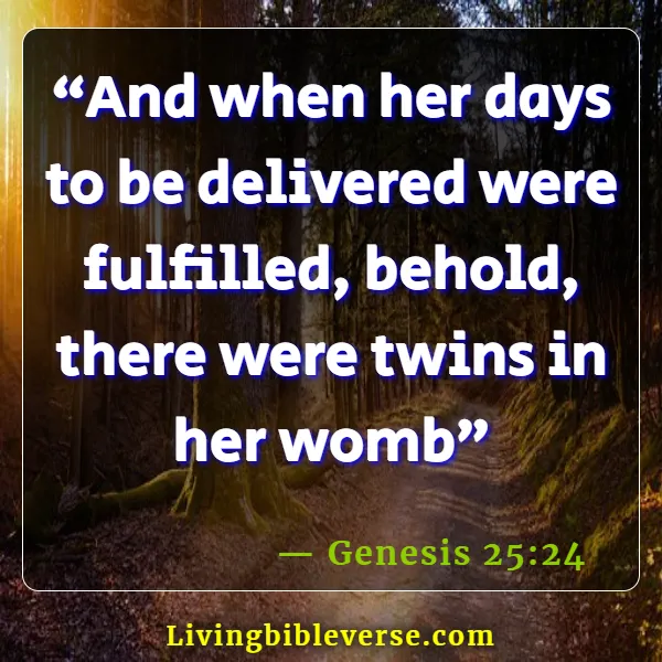 Bible Verses For Pregnant Women (Genesis 25:24)