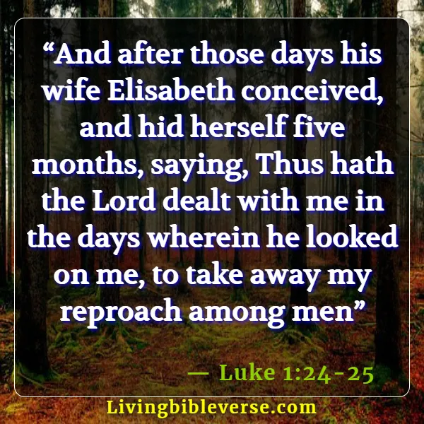 Bible Verses For Pregnant Women (Luke 1:24-25)