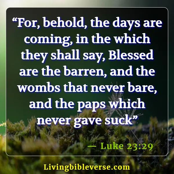 Bible Verses For Pregnant Women (Luke 23:29)