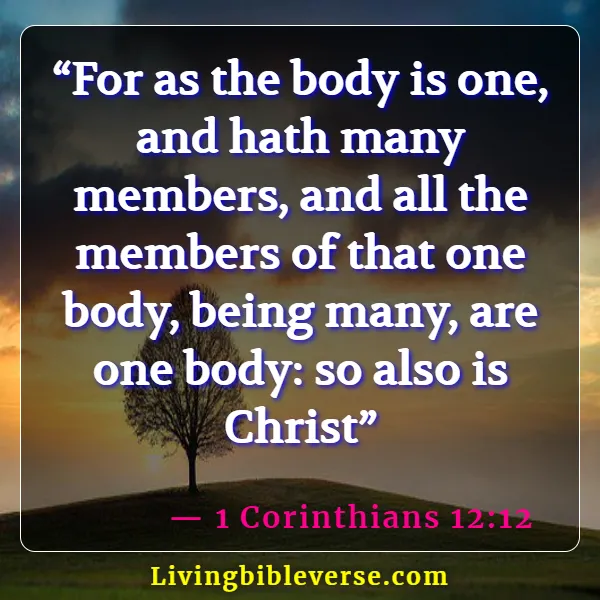 Bible Verse About Parts Of The Body Working Together (1 Corinthians 12:12)