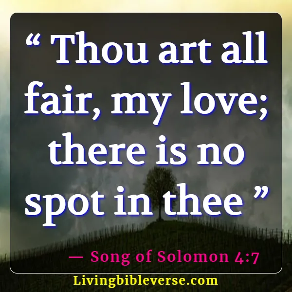 Bible Verses For Women's Fellowship (Song of Solomon 4:7)