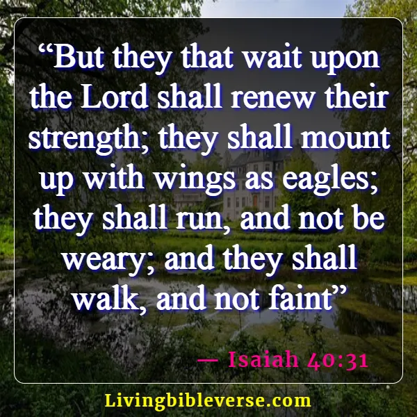 Bible Verses About  Physical Fitness (Isaiah 40:31)