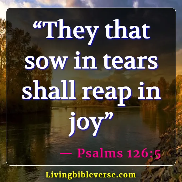 Bible Verse About God Catching Our Tears (Psalms 126:5)