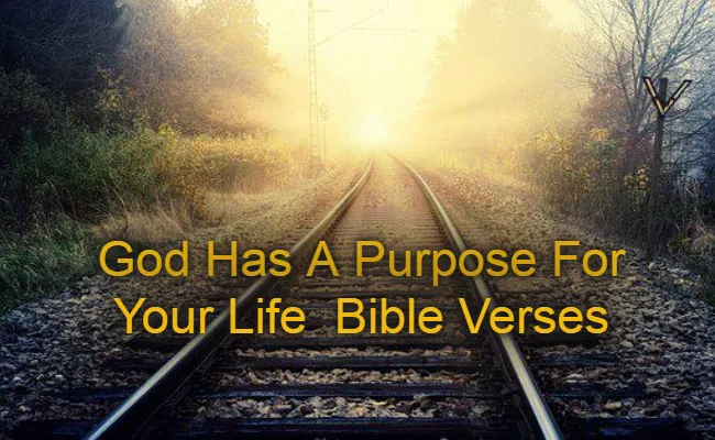 God Has A Purpose For Your Life Bible Verses