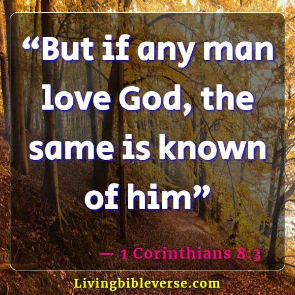 Scriptures On Knowing God Intimately (1 Corinthians 8:3)