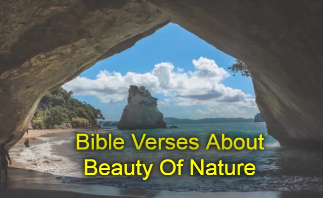Bible Verses About Beauty Of Nature