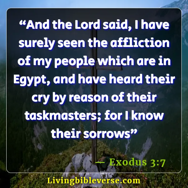 Bible Verses About Crying Out To God For Help (Exodus 3:7)