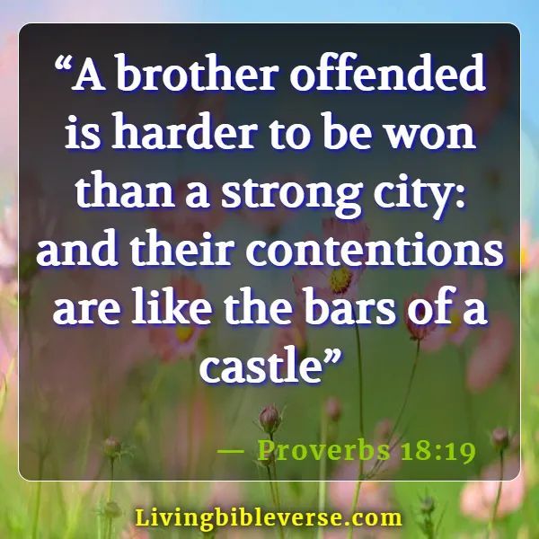 Bible Verses To Appreciate A Friend (Proverbs 18:19)
