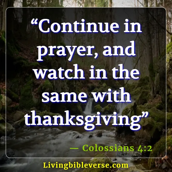 Thank You Bible Verses For Friends (Colossians 4:2)