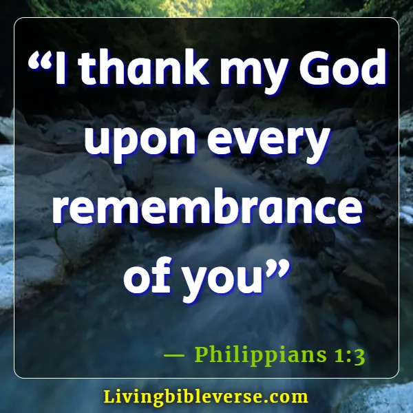 Thank You Bible Verses For Friends ( Philippians 1:3)