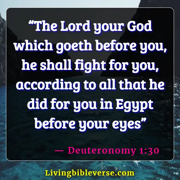 Bible Verses About God Fighting Our Battles (Deuteronomy 1:30)