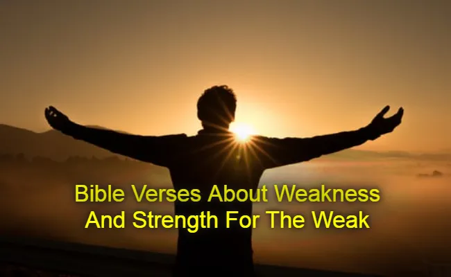 Bible Verses About Weakness And Strength For The Weak
