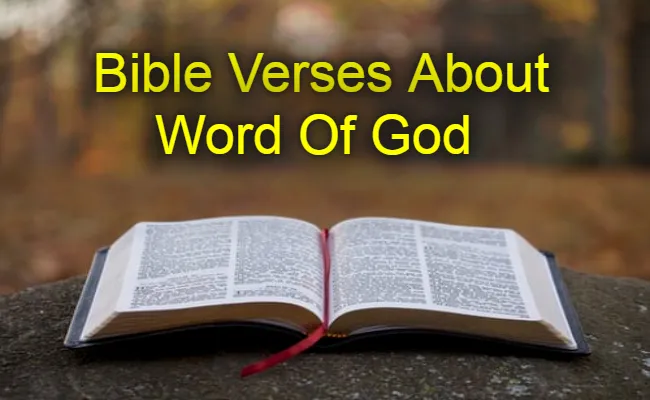 Bible Verses About Word Of God