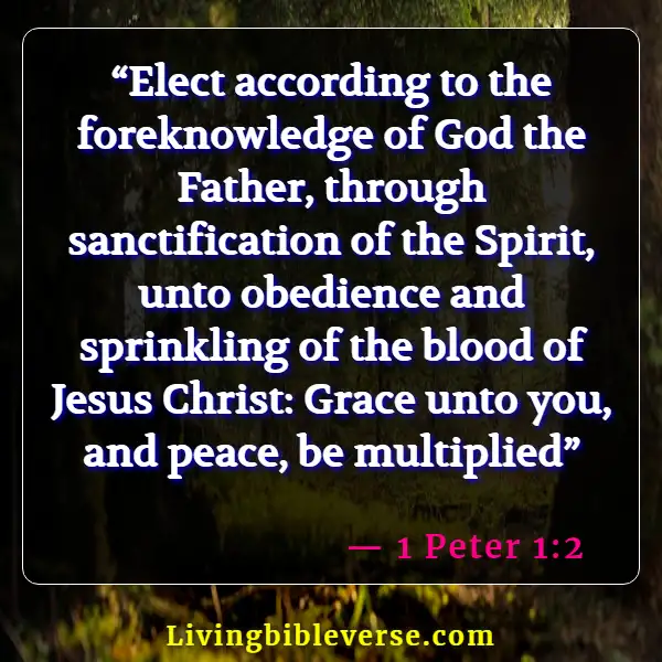 Scriptures On Victory Through The Blood Of Jesus (1 Peter 1:2)