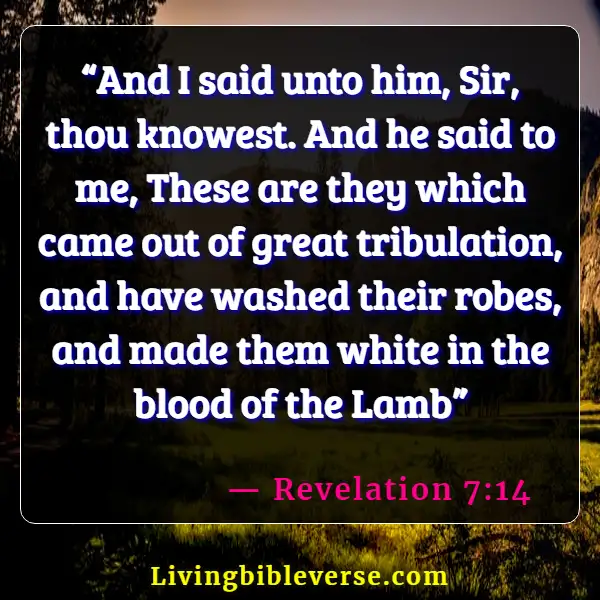 Scriptures On Victory Through The Blood Of Jesus (Revelation 7:14)