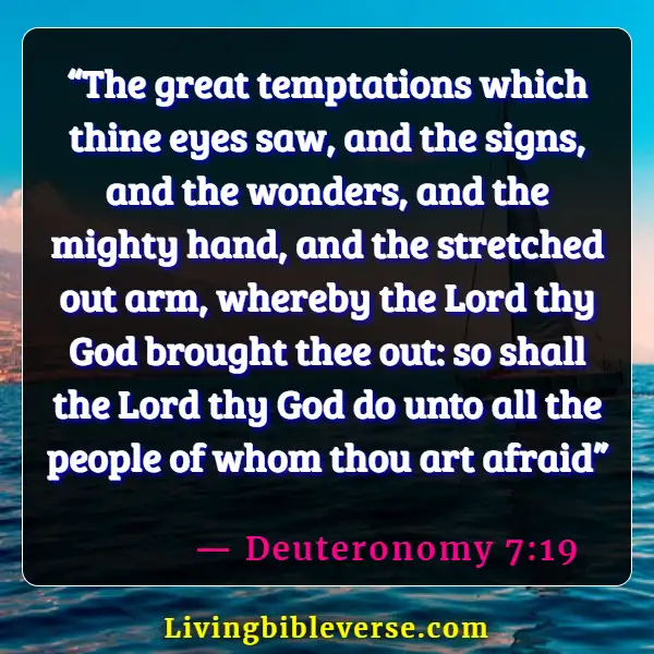 Bible Verse About Rejoicing In Trials And Temptations (Deuteronomy 7:19)