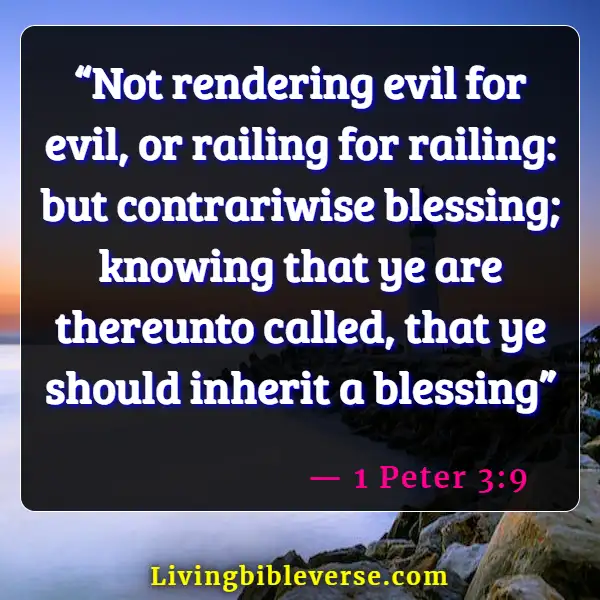 Bible Verses About Accusing Others (1 Peter 3:9)