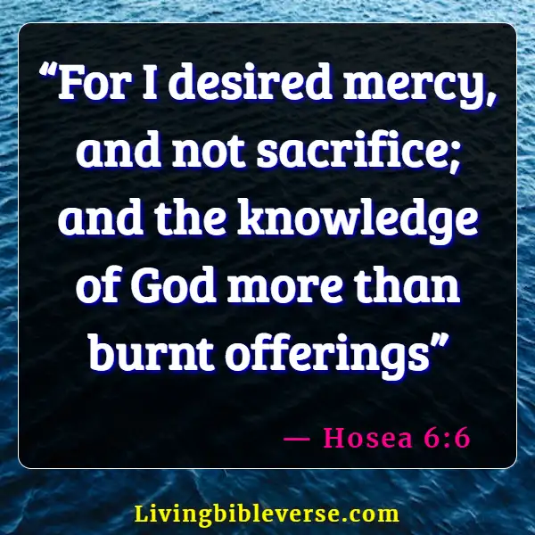 Bible Verses About Human Knowledge  (Hosea 6:6)