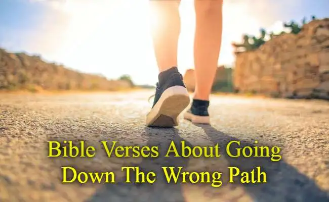 Bible Verses About Going Down The Wrong Path