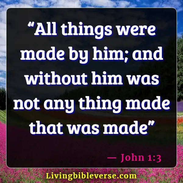 Bible Verses About God Does Not Lie (John 1:3)