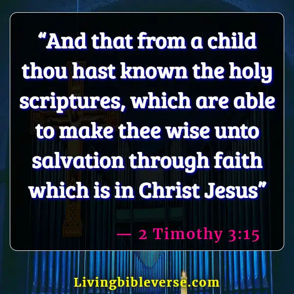 Bible Verses About Joy To The World The Lord Has Come (2 Timothy 3:15)