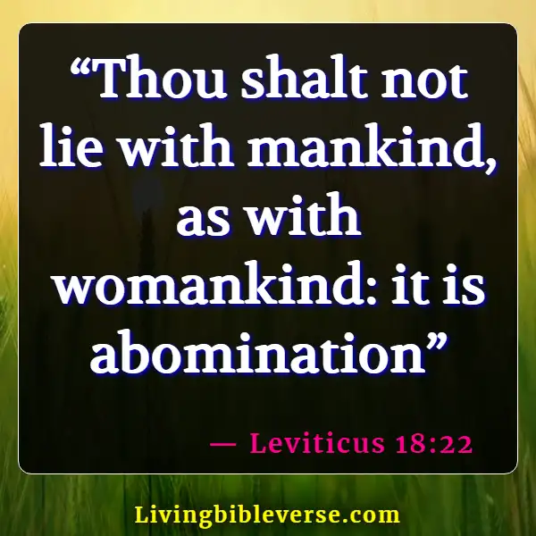 Bible Verses About Proving Others Wrong (Leviticus 18:22)