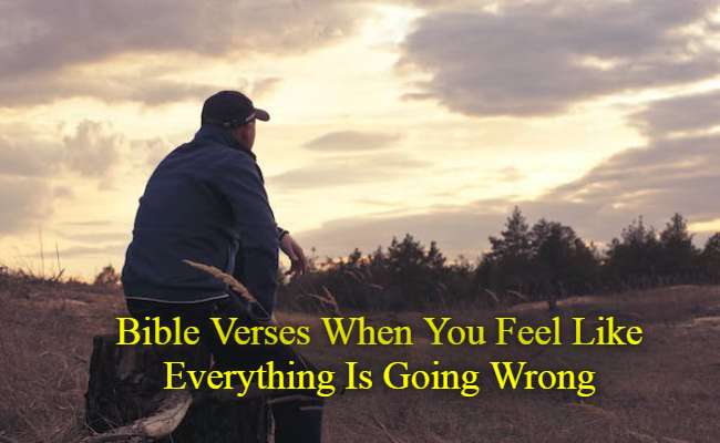 Bible Verses When You Feel Like Everything Is Going Wrong