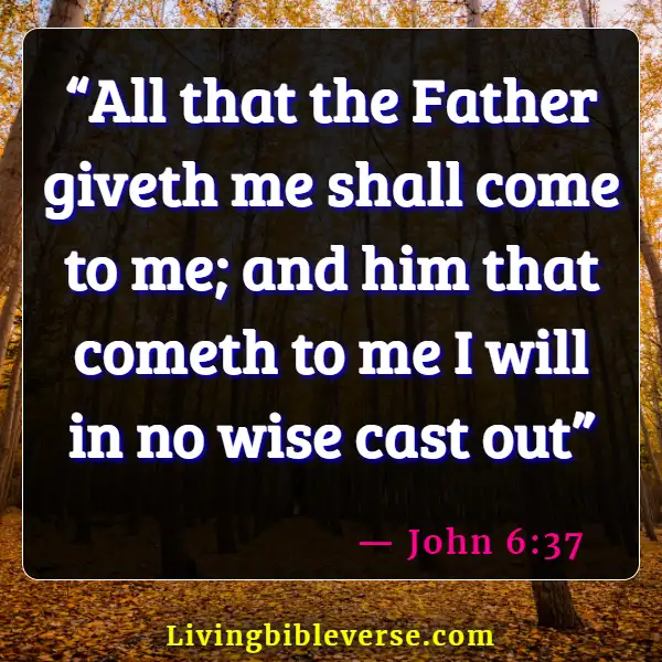 Bible Verses About Jesus Doing The Will Of The Father (John 6:37)