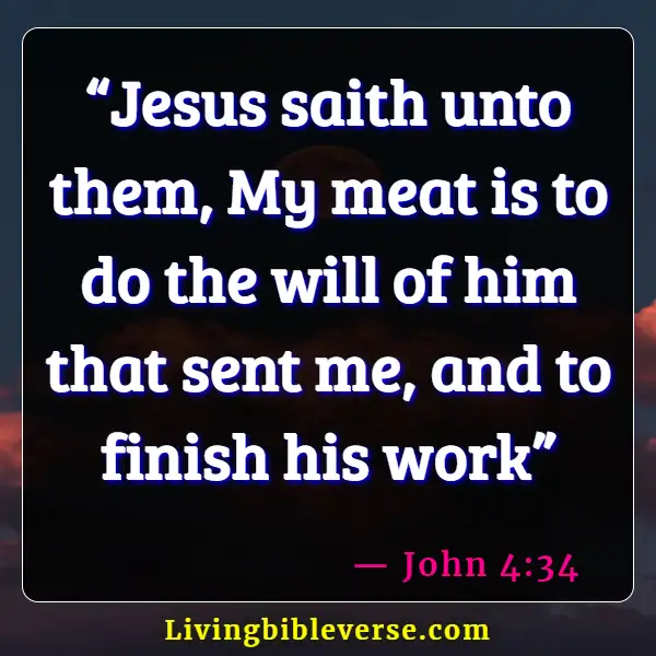 Bible Verses About Jesus Doing The Will Of The Father (John 4:34)