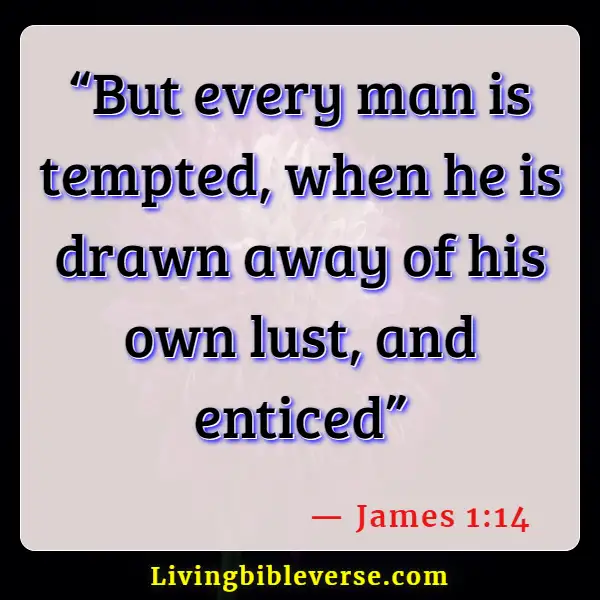 Bible Verses About Admitting Mistakes (James 1:14)