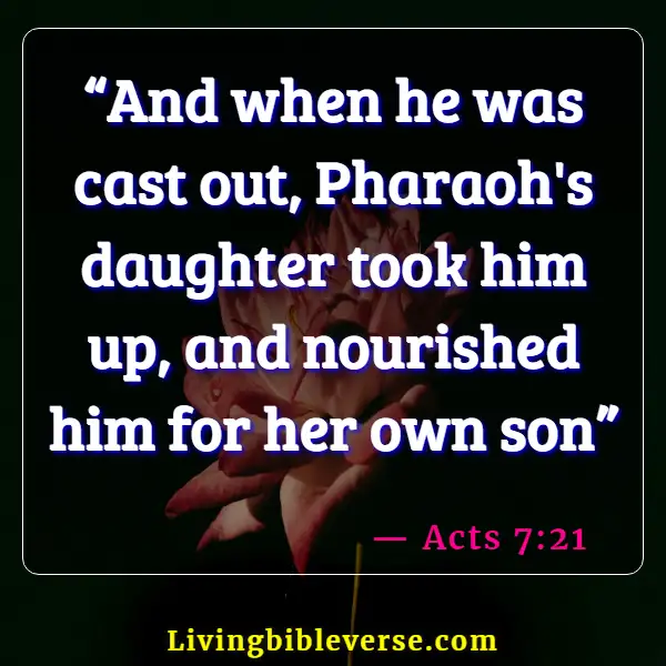 Bible Verses About Adoption Into The Family Of God (Acts 7:21)