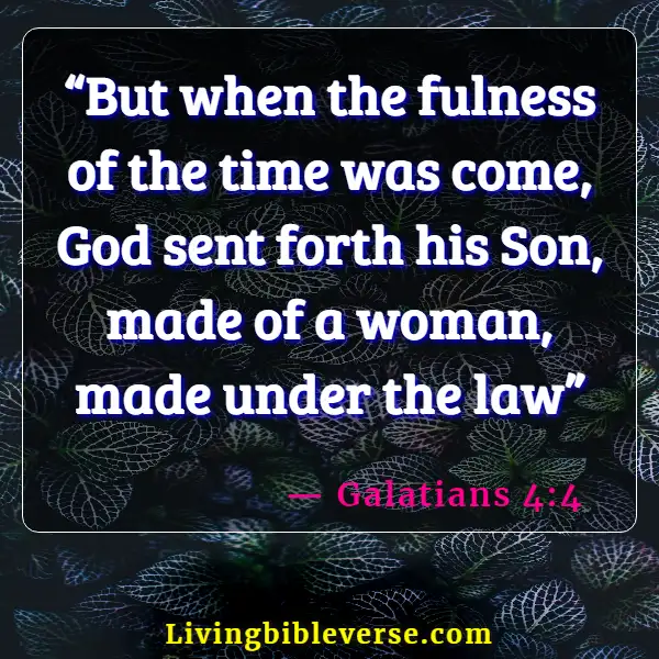 Bible Verses About Adoption Into The Family Of God (Galatians 4:4)