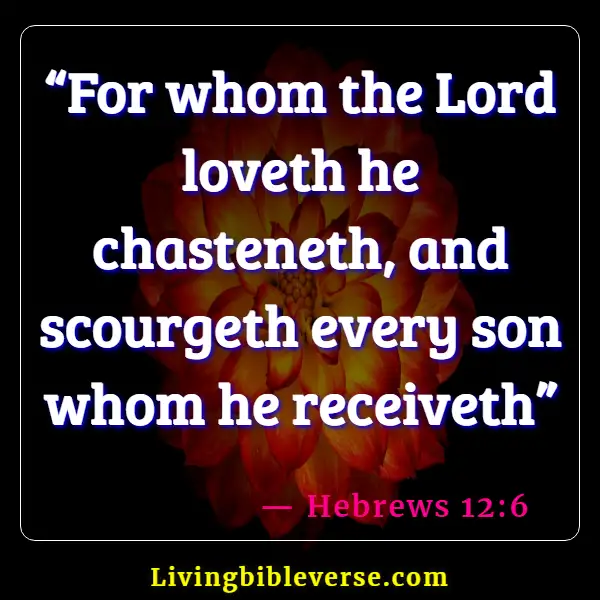 Bible Verse God Disciplines Those He Loves (Hebrews 12:6)