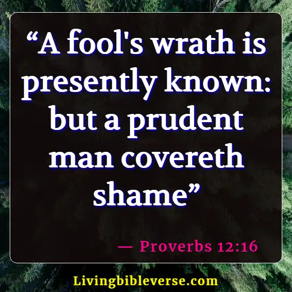 Bible Verses For Dealing With Difficult Family Members (Proverbs 12:16)