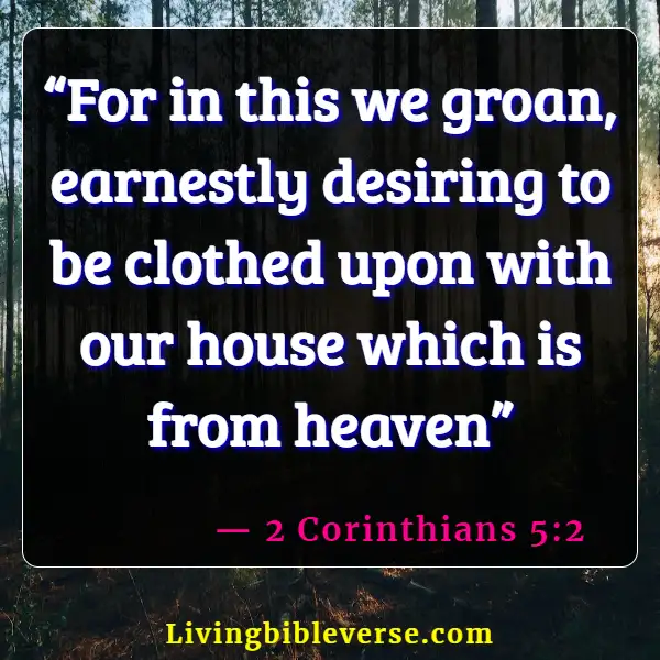 Bible Verses About Absent From The Body Present With The Lord (2 Corinthians 5:2)