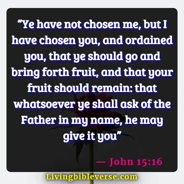 Bible Verses About Asking And Receiving (John 15:16)